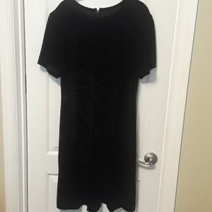 Black Velvet Dress
